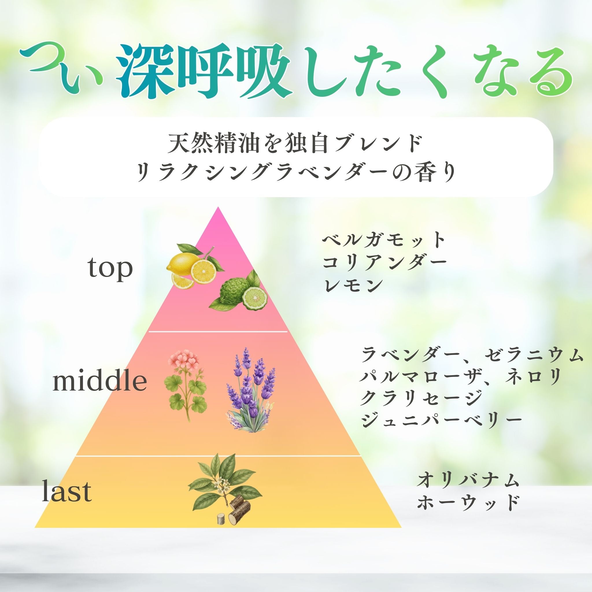 スプレーゼ レチノデイ クリーム(SPF37 / PA++++)