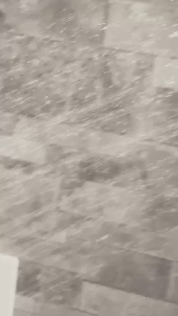 クリームシャンプー広告動画1 480px.mov__PID:dbf14e92-dac4-4393-b8ea-493c22afa4a8